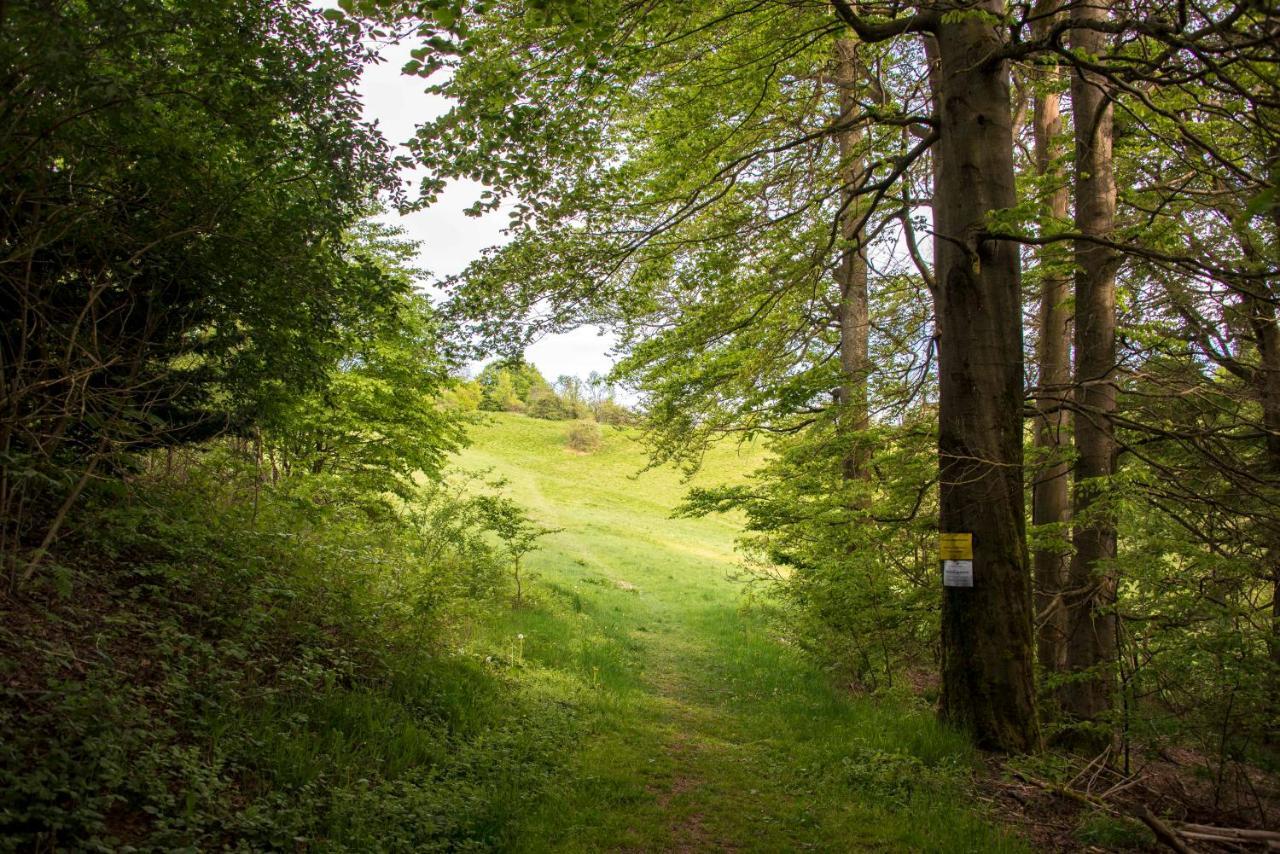 Panoramic Hohegeiss App 646 U 647 Mit Wlan