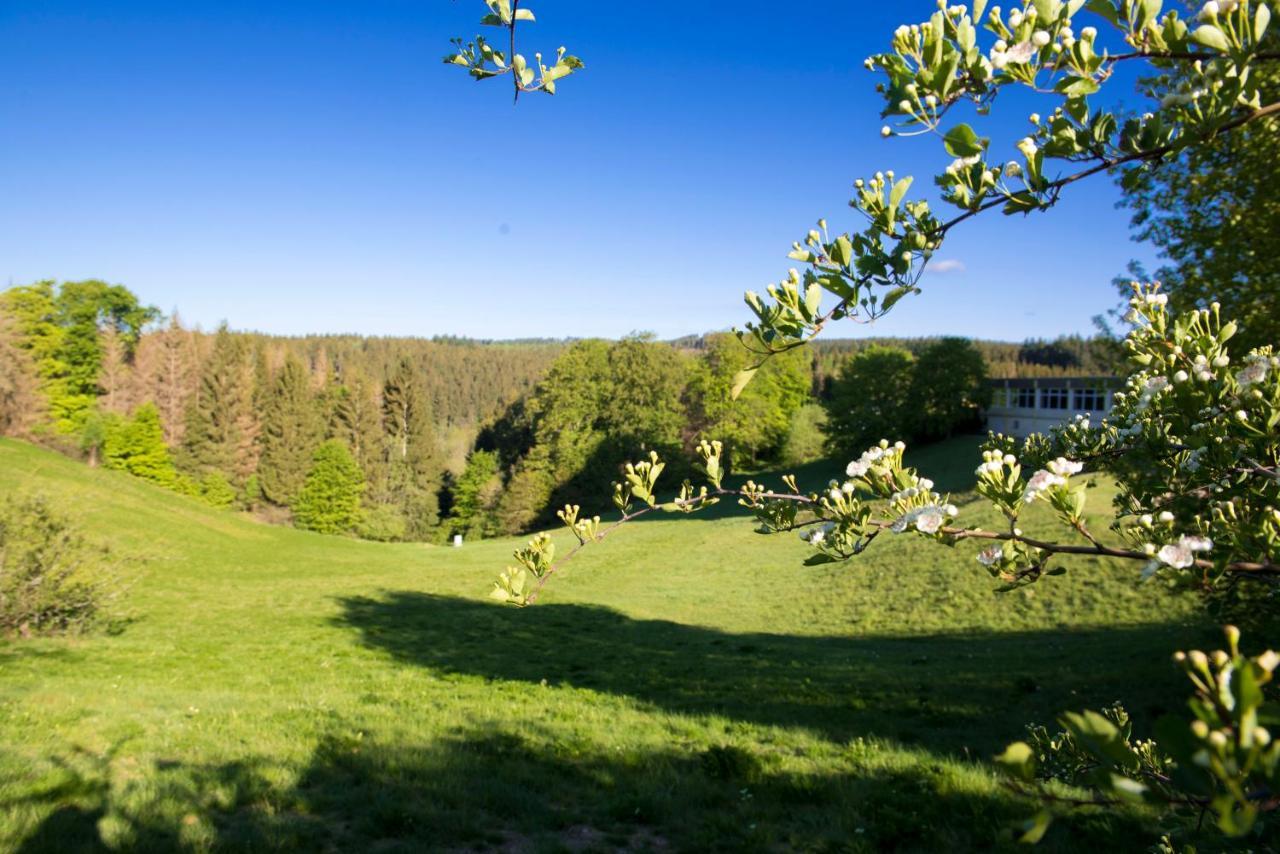 Panoramic Hohegeiss App 646 U 647 Mit Wlan Appartement Braunlage